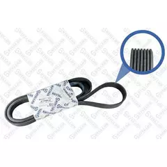 Ремень поликлиновой Stellox 6PK2579 Hyundai Santa Fe II 2.4 10