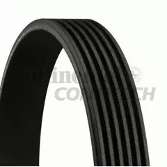 Ремень ручейковый Contitech 6PK1580 - ContiTech арт. 6PK1580