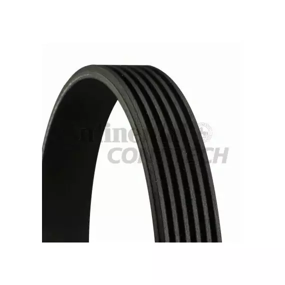 Ремень ручейковый Contitech 6PK1580 - ContiTech арт. 6PK1580