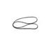 Поликлиновый ремень 4PK875 ALFA ROMEO HONDA MAZDA MITSUBISHI NISSAN ROVER SUBARU TOYOTA HYUNDAI KIA PROTON LEXUS - Bosch арт. 1987947897