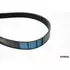 Ремень поликлиновой DONGIL 6PK2131 - DONGIL арт. 6PK2131